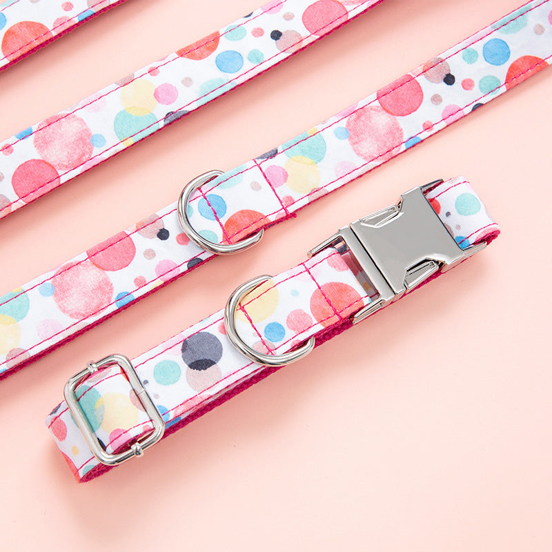 Why You Need the Bubble Pet Collar Leash for Your Next Adventure